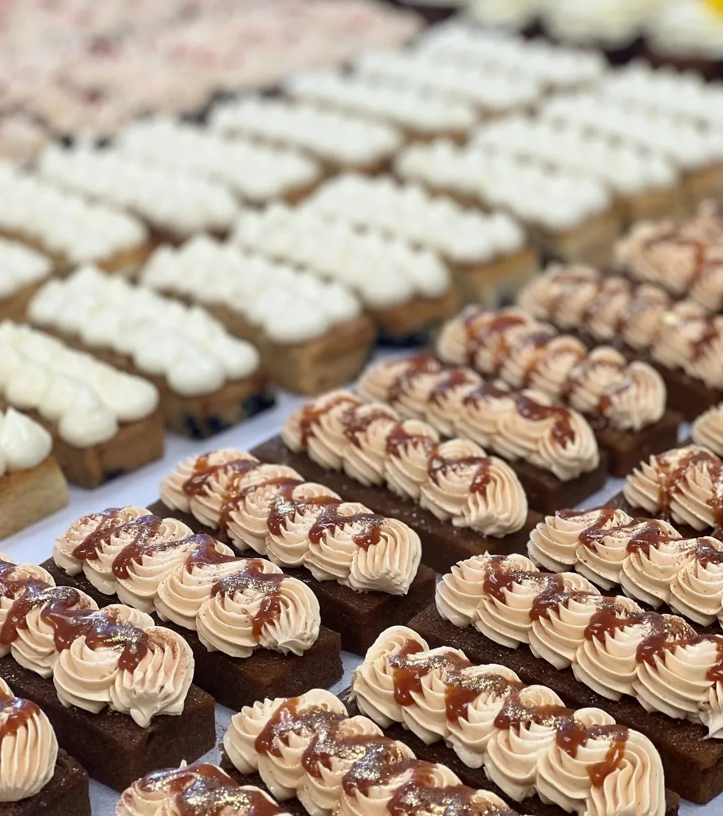 Cake Sample Boxes 2023 Whipped Cakery NZ